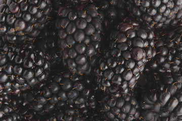 texture with blackberry closeup, background of berries, horizontal frame