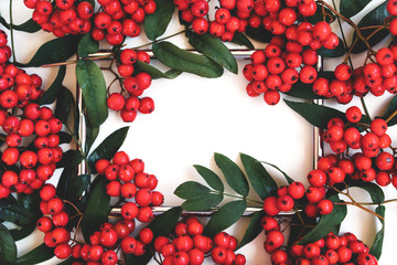 Rectangular frame decorated with rowan branches on a white background. 