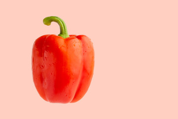 red bell pepper or paprika isolated on a pink background, for design