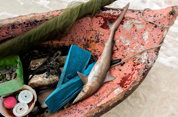 pesca