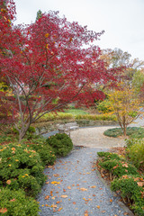 Naklejka premium autumn foliage at US National Arboretum in Washington DC USA