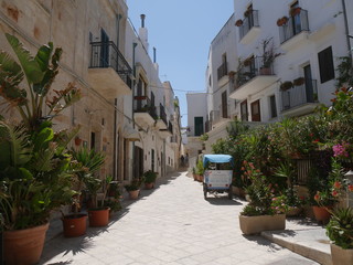 Polignano, white streets :  they slope down to the sea with balconies, wooden shutters and colorful flower boxes. On the walls there are handwritten phrases of celebrities.