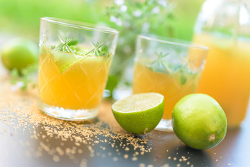 Beautiful Cocktail mojito in front of blurred  natural green background