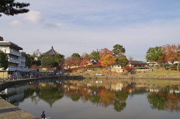 Fototapeta na wymiar Autumn foliage in Nara, Japan