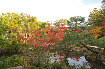 Autumn foliage in Nara, Japan