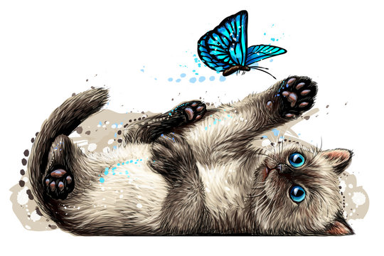  A kitten is playing with a butterfly. Wall sticker with the image of a blue-eyed kitten catching a butterfly in a watercolor style.
