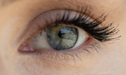 Female eye with long eyelashes close up.