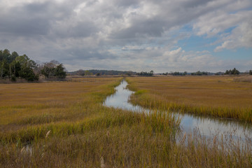 coastal marsh view along the atlantic ocean in lewes sussex country in southern delaware usa © yvonne navalaney