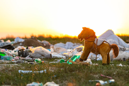 A pile of garbage in the middle of a meadow and a horse toy, during sunset.