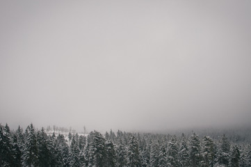 Skiing in Jeseniky mountains, typical misty weather on the top