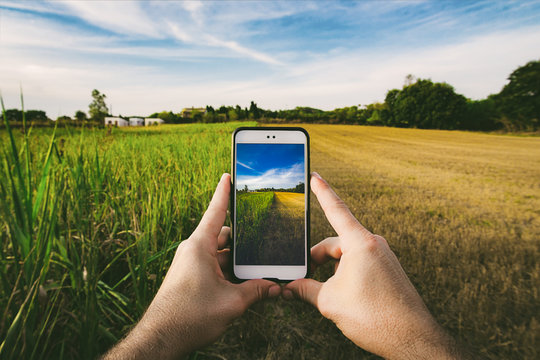 photographer taking a landscape pictures with a smartphone in a half-mowed plantation field