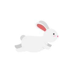cute and little rabbit character