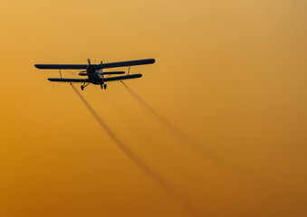 Morning Flight