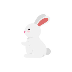 cute and little rabbit character