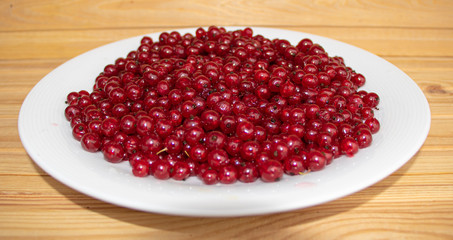 Red currant in plate on wooden background