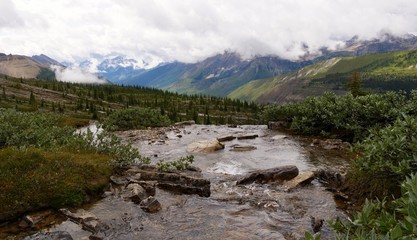 Fototapeta na wymiar Alpine Creek