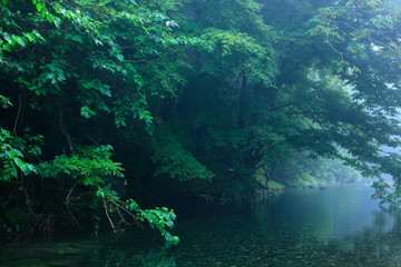 夏の気仙大滝