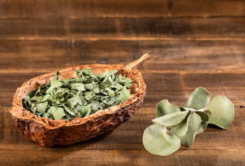 crushed eucalyptus leaves to prepare herbal tea