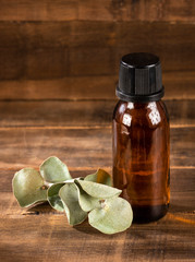 Eucalyptus essential oil and dried eucalyptus leaves - Text space
