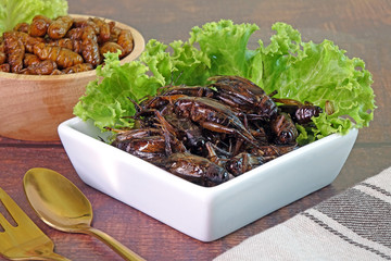 Edible insects : Deep fried crispy salted Silkworm pupae and cricket.  Entomophagy : Edible insects, other natural sources of nutrients. Famous street food in Thailand. Close up.