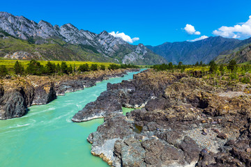 Fototapeta na wymiar Katun river with rapids. Gorny Altai, Siberia, Russia