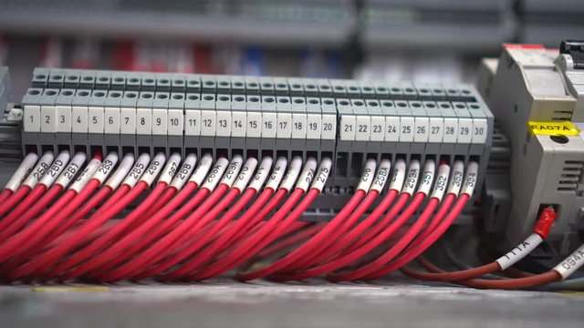 The wires in the factory are responsible for delivering electricity throughout the plant.
