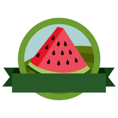 fresh watermelon fruit with ribbon stamp