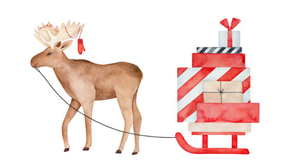 Huge brown moose with knitted mitten on antlers, carrying sled with many festive gift boxes. Handdrawn watercolour graphic drawing, clip art element for design. greeting card, banner, poster, label.