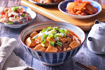 A bowl of rice with mapo doufu on a table                                                    