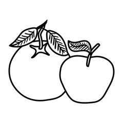 fresh orange and apple fruits nature