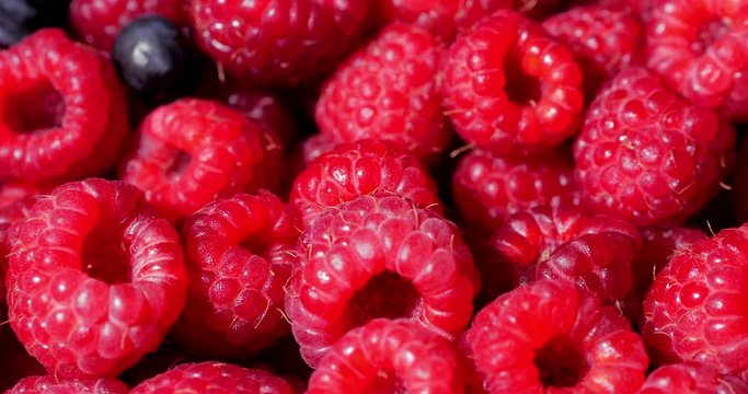 Close Up Rotation Loopable Raspberry. Fresh, Juicy Raspberry Background, Ripe. Macro Red Raspberries Fruit. Fresh Raspberry Fruits As Food Dackground. Healthy Food Organic Nutrition.