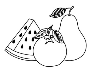 group of fresh fruits nature