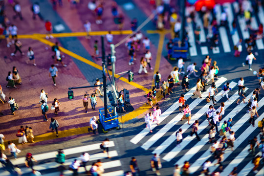 Shibuya crossing in Tokyo high angle tiltshift