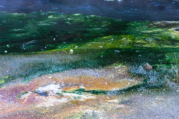 Water simmering on top of a shallow stream of geothermal activity at Waimangu Volcanic Valley in Rotorua, New Zealand.