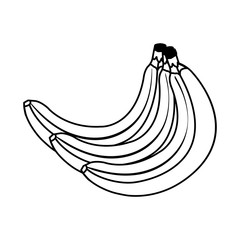 Fototapeta premium fresh bananas fruits nature icons