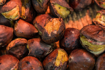 Delicious Roasted chestnuts. ( Tianjin chestnut, Japanese chestnut )