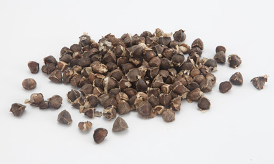 moringa seeds