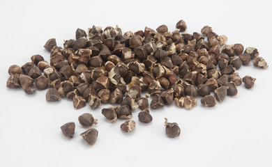 moringa seeds