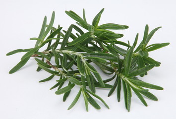 rosemary