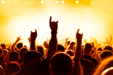 Fototapeta na wymiar crowd of people at rock concert
