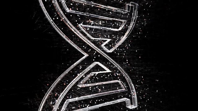 4k DNA RNA deoxyribonucleic acid biology logo tag cloud;binary computer code.The Matrix binary text design animation;changing from zero to one digits;abstract tech background.