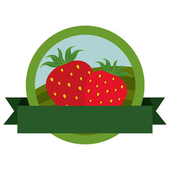 fresh strawberries fruits with ribbon seal stamp