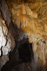 Bear cave from Chiscau village Bihor county