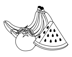 group of fresh fruits nature