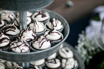 chocolate cupcakes