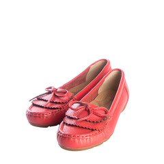 shoe or woman shoe on a background new.