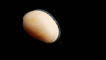 Fresh clam at the beach