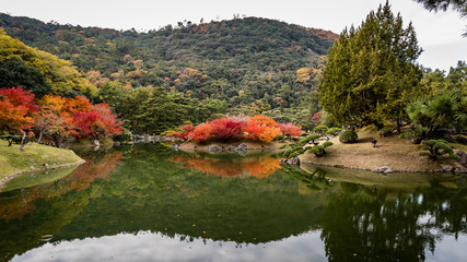 Fototapeta na wymiar Panorama of bright red and yellow maple trees reflecting in a lake in a Japanese garden
