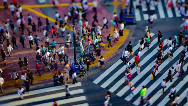 A timelapse of Shibuya crossing in Tokyo high angle tiltshift