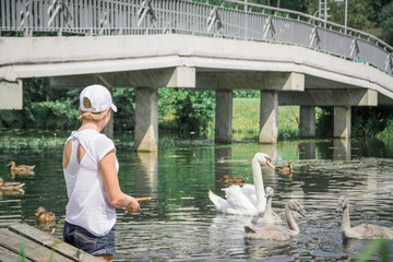 Attractive woman Feeds Swans